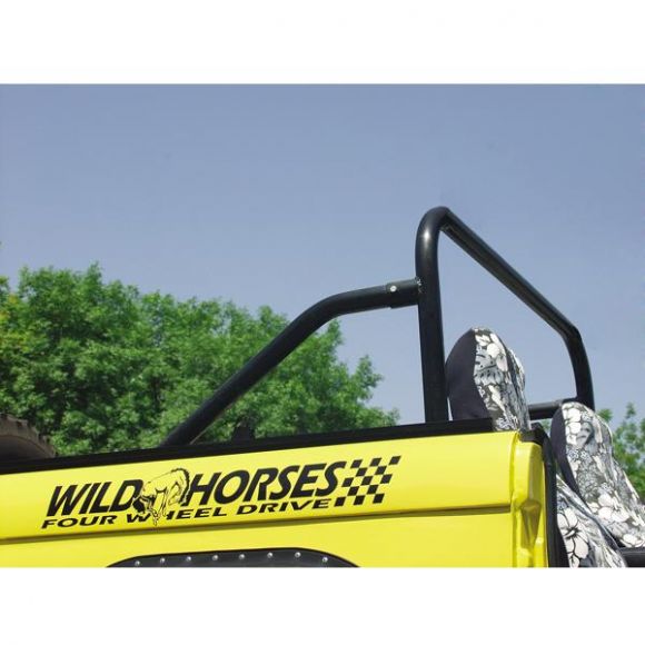 Can you install 4258 roll bar with the hard top on?