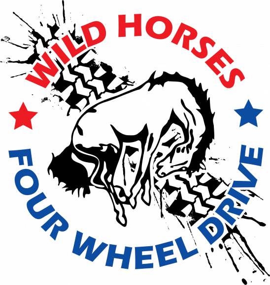 WH All-Terrain Rear Leaf Springs | 3.5 inch Lift | 66-77 Ford Bronco Questions & Answers